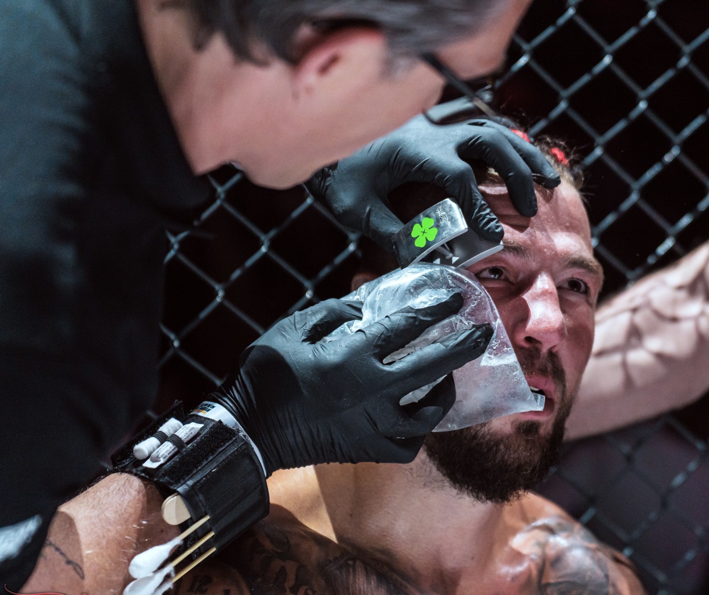 Cutman rolandus mit enswell
